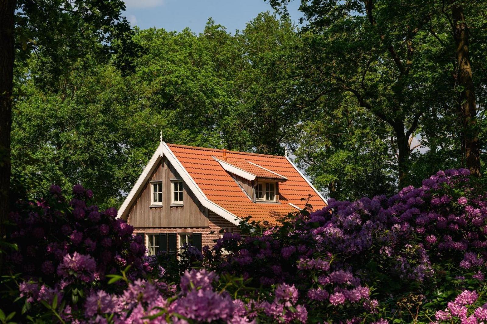 De Bosuil Villa Hoge-Hexel Екстериор снимка