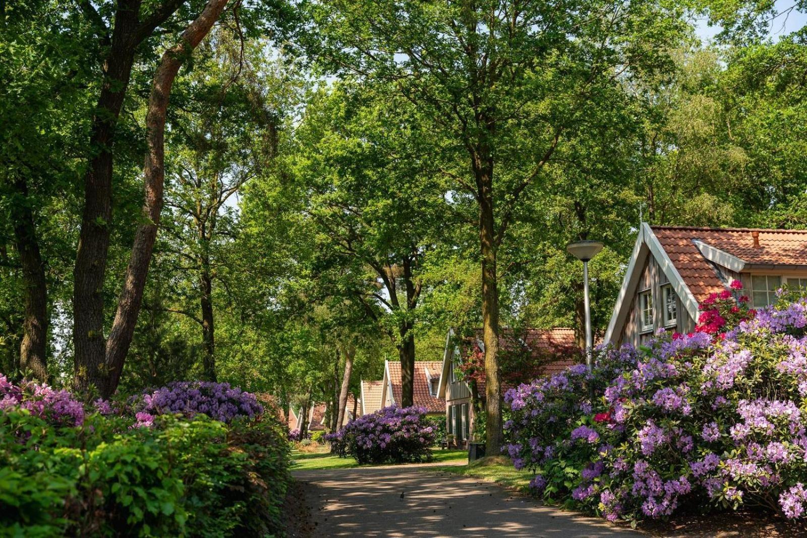 De Bosuil Villa Hoge-Hexel Екстериор снимка