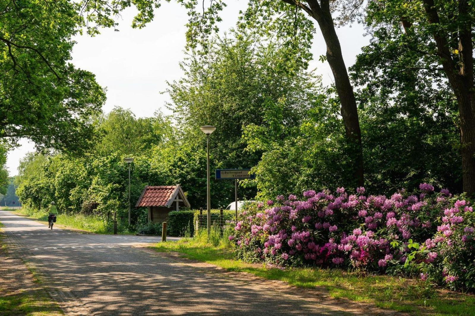 De Bosuil Villa Hoge-Hexel Екстериор снимка